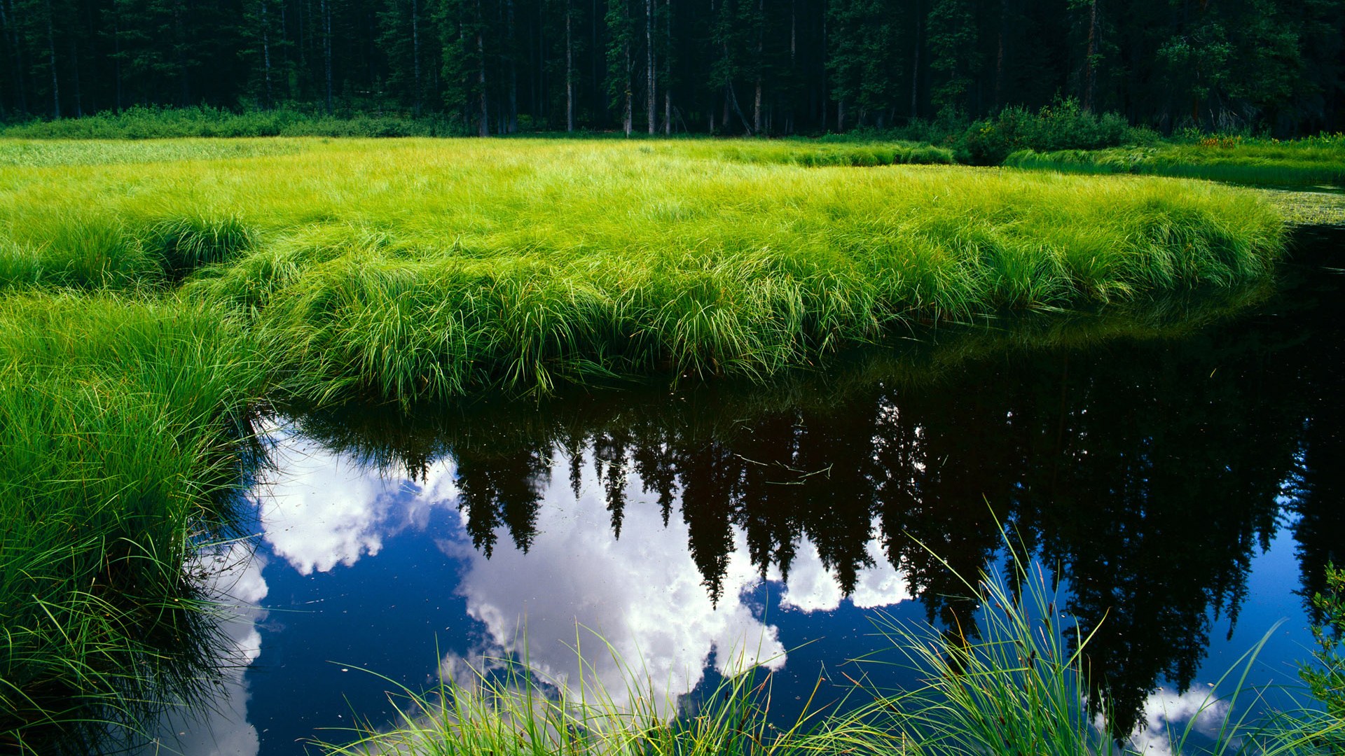 布鲁诺·卡博克洛成为NBA品牌代言人，nba球员布洛克