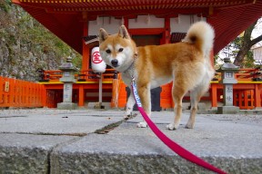 kaiyun.com-夜空下的极限飞盘，运动也可以如此浪漫，极限飞盘术语