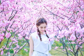 开云电子-_爵士稳步前行,排名不断上升_,爵士实力