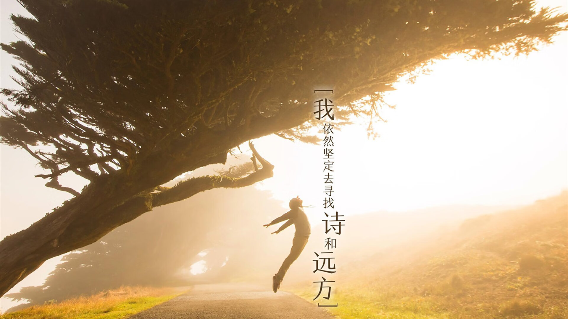 _爵士队战术多样,连续取胜_,爵士队百度百科