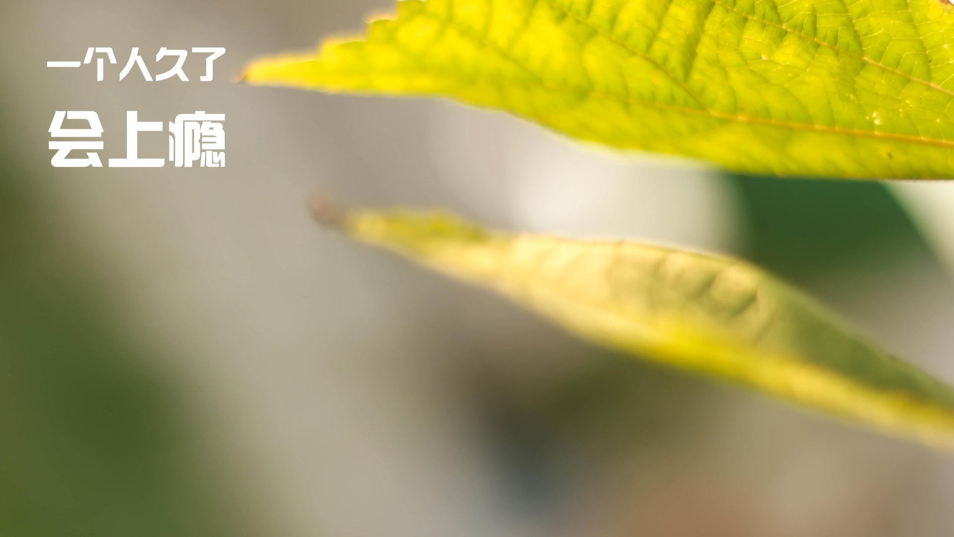 【青训秘籍】丁俊晖：年轻选手如何模仿冠军训练？，运动员丁俊晖