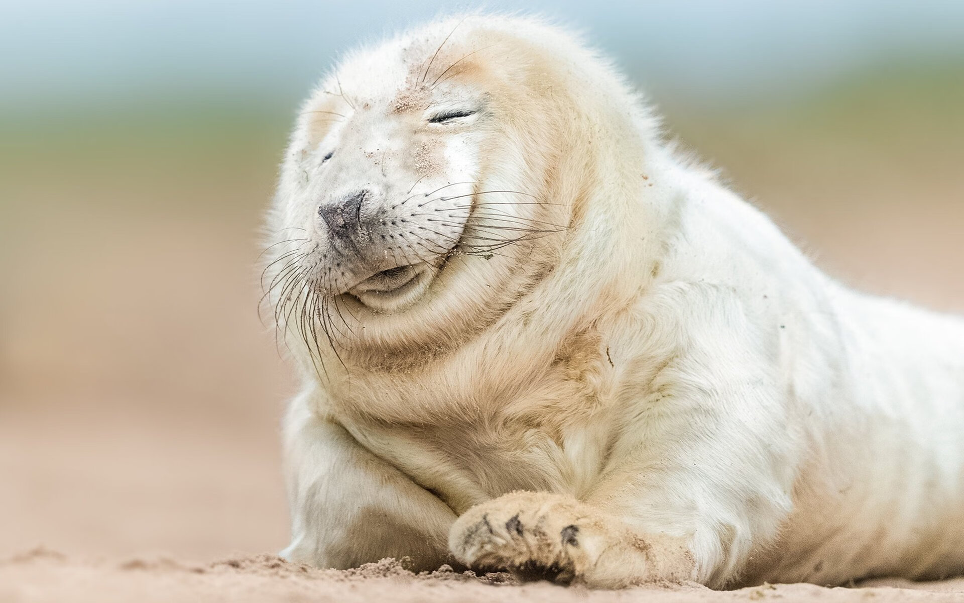 中国女足备战奥运会，信心满满，中国队女足奥运会